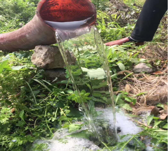 东风3308轴距蓝牌吸污净化车